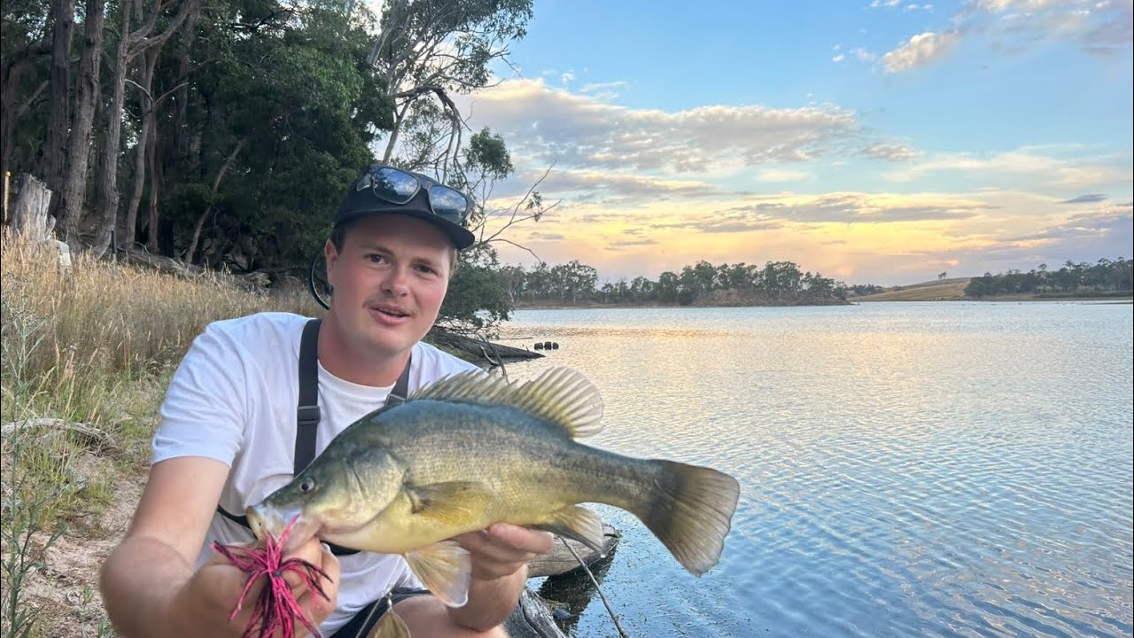 lauriston yella fishing