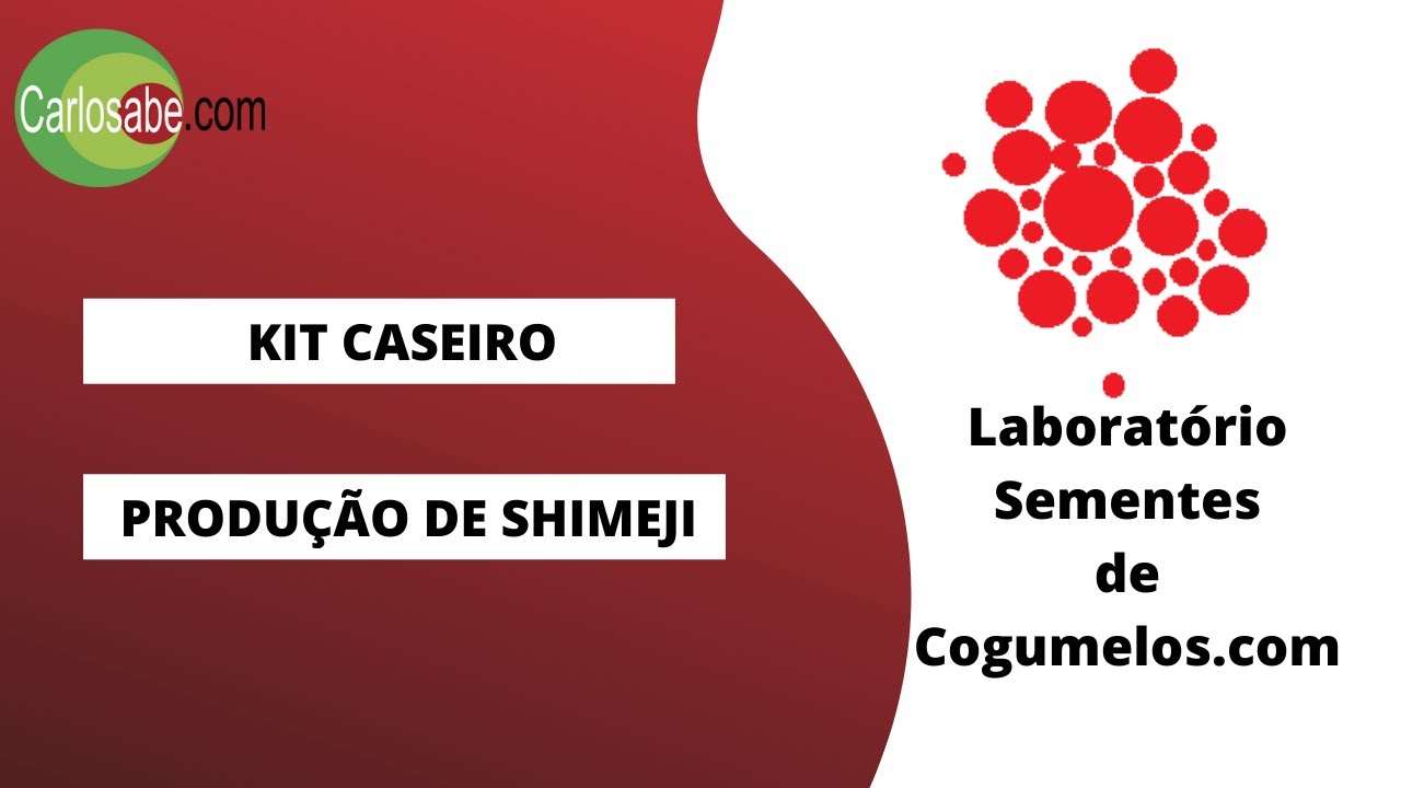 TutoriaL Kit de Produção Caseira de Cogumelo Shimeji / Hiratake