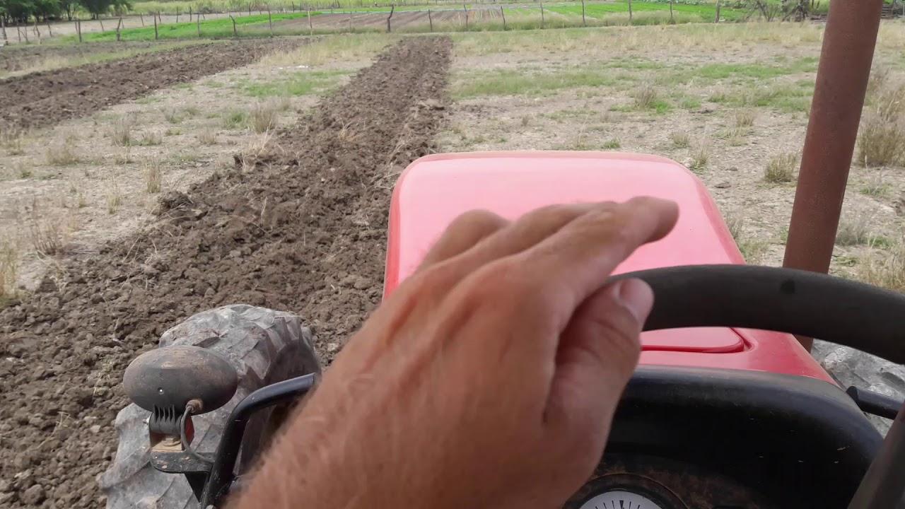 Trator Massey Ferguson 4283 dando a primeira gradagrm na terra