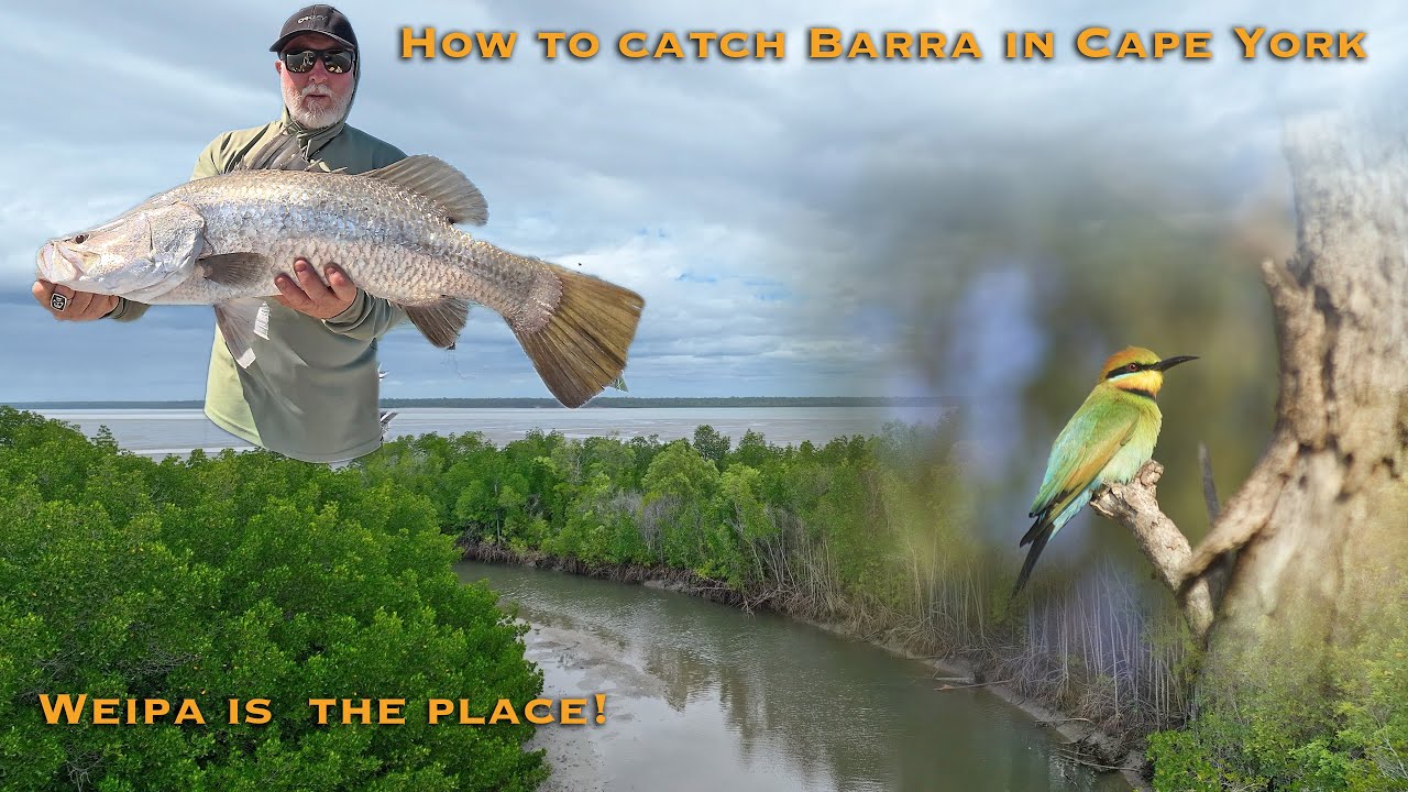 How to catch Barra in Cape York