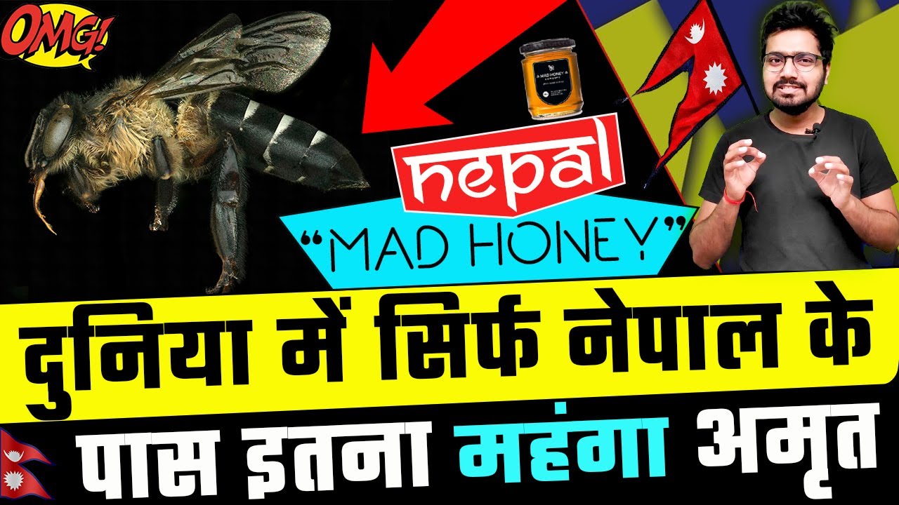 दुनिया में सिर्फ नेपाल के पास इतना महंगा अमृत / Nepal Apis laboriosa honey in world | OMG Nepal ep 7