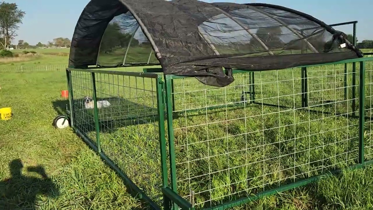 Sheep Tractor- the "Lamborghini" and "Ramborghini" arrive
