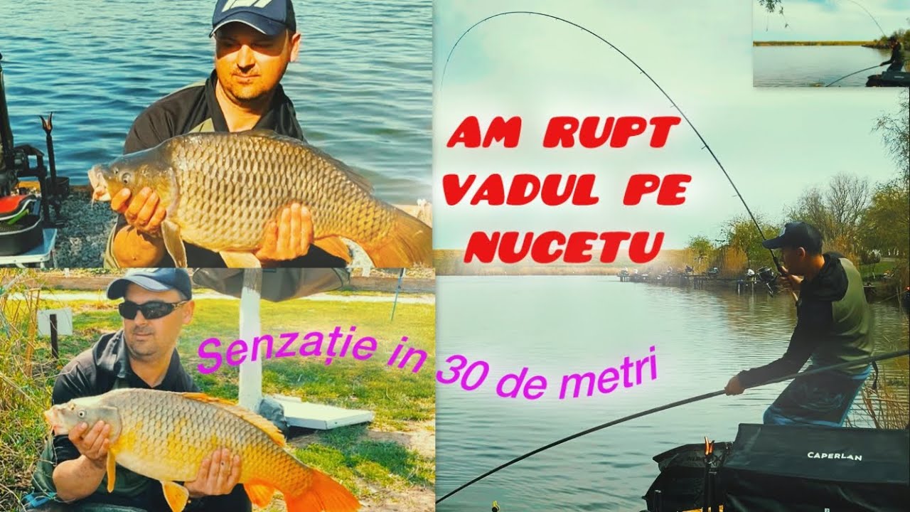 Cum Să Pescuiești  La Method Feeder Pe Vad,Pe Lacul Nucetu 2025.#fishing #fish #method