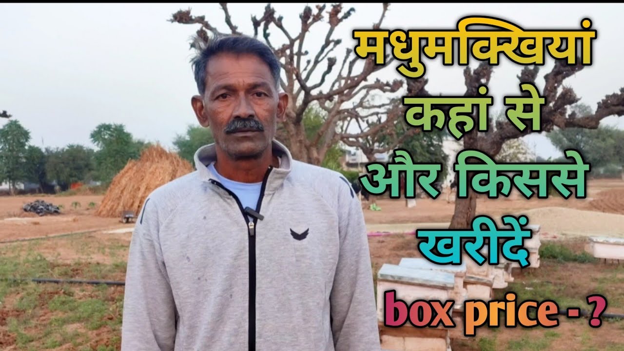 मधुमक्खियां कहां से और किससे खरीदें
