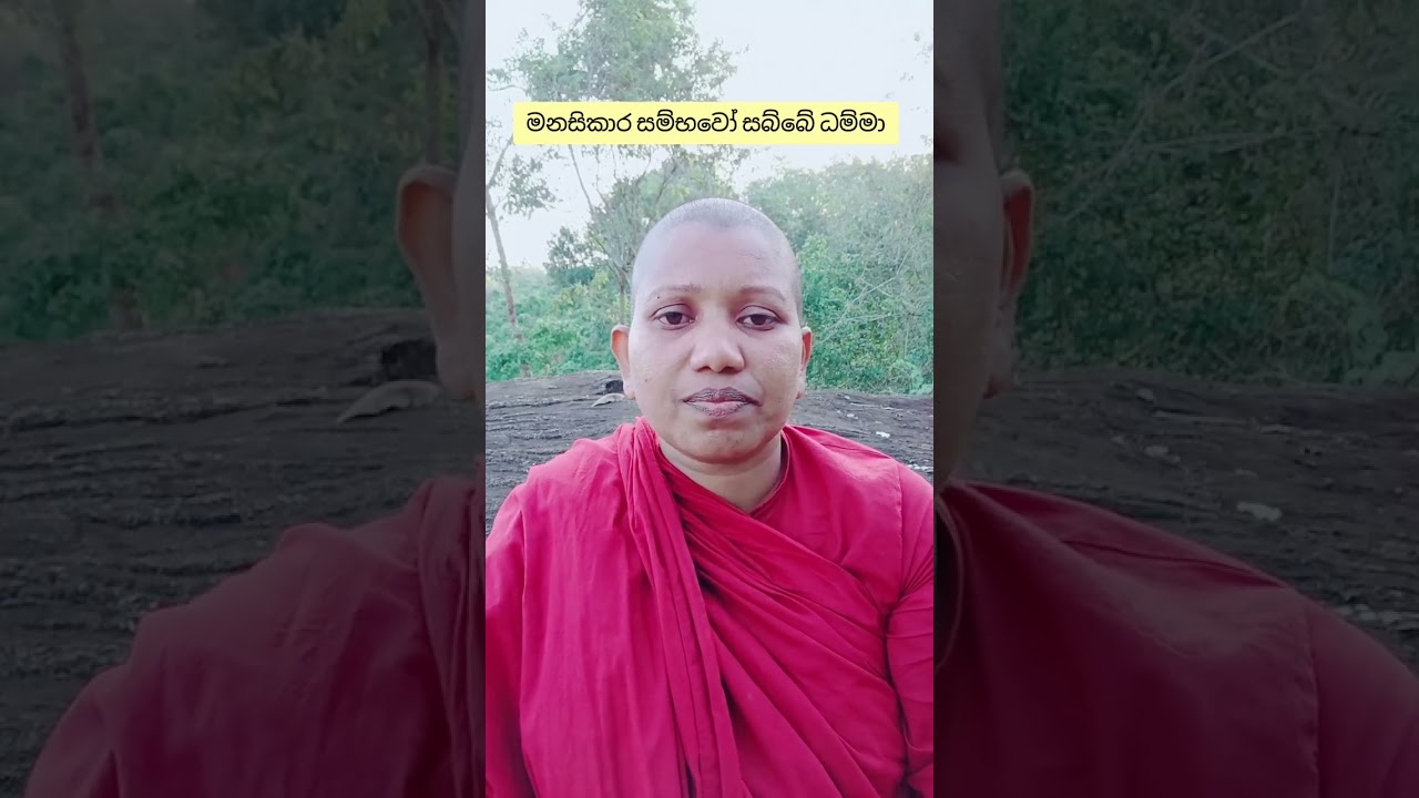 මනසිකාර සම්භවෝ සබ්බේ ධම්මා