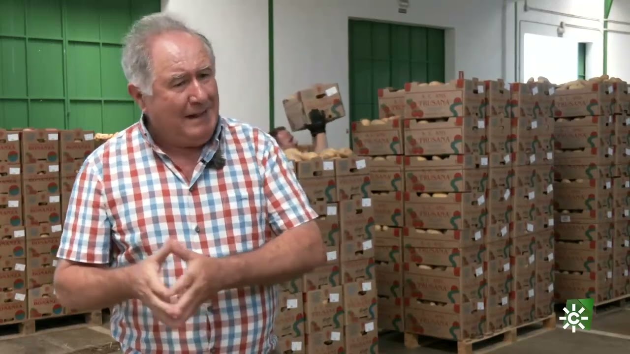 patatas de Sanlúcar en tierra y mar canal sur