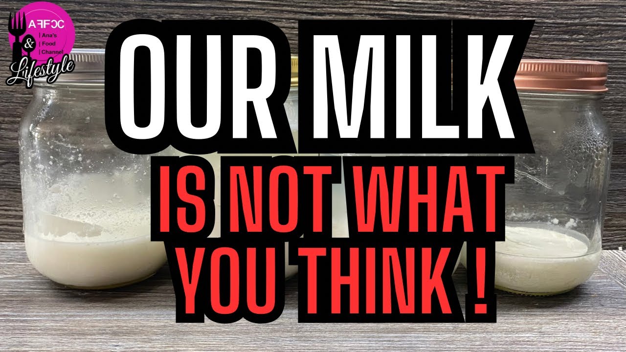 The Unbelievable Truth About Supermarket Milk | UK Prepper