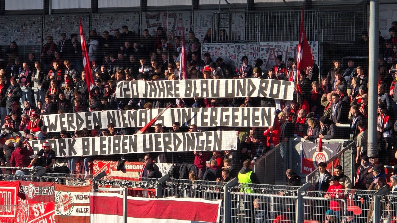 Wehen Wiesbaden - Stuttgart 2 / 2:0 Sieg vor 2617 Zuschauern am 01.02.2025