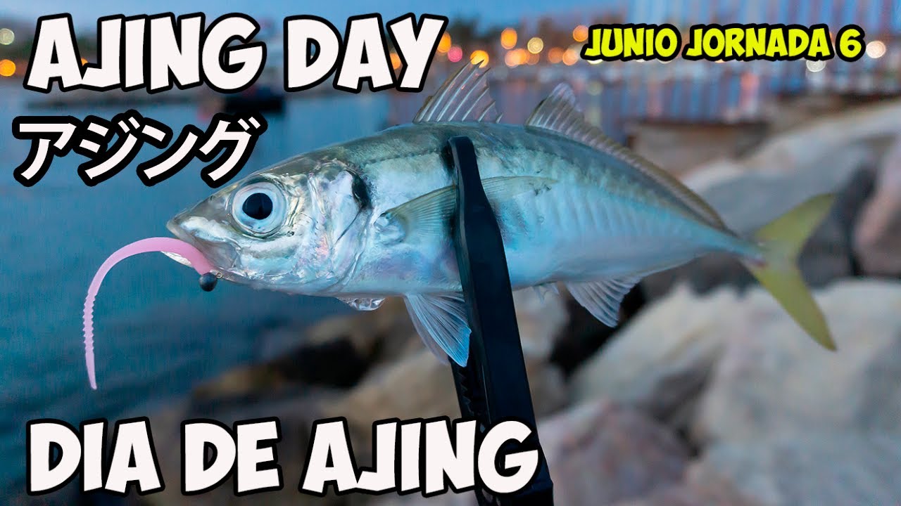 DÍA DE AJING CAÑA HASTA 3 GR. TICT SRAM UTR-68-TOR ANSWER 💪 CON VINILOS REINS. AJING DAY. アジング