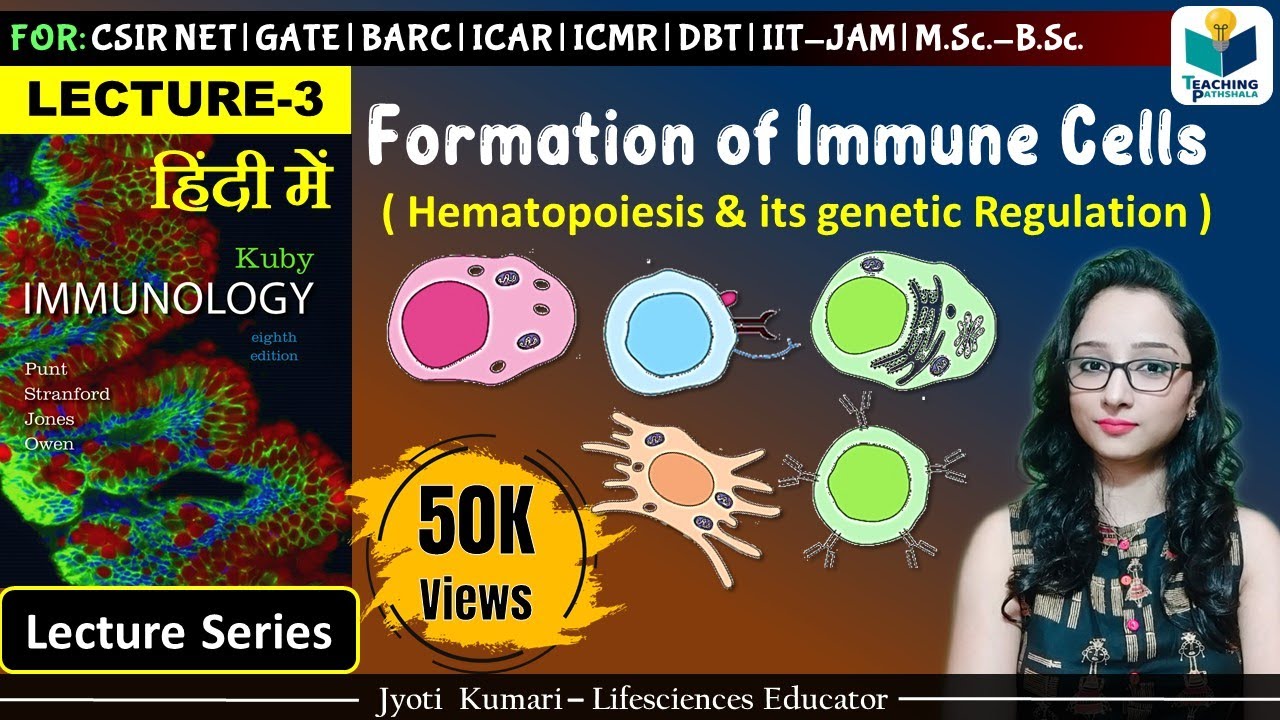 Immunology: Formation of Immune Cells  | Lecture-3
