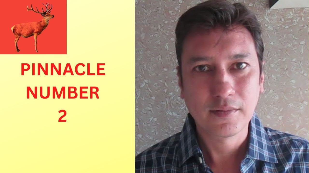 PINNACLE NUMBER 2 | NUMEROLOGY