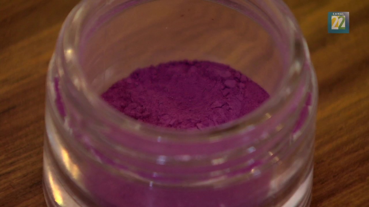 Creaci&oacute;n del Rojo Mexicano. Producci&oacute;n de la Grana Cochinilla.