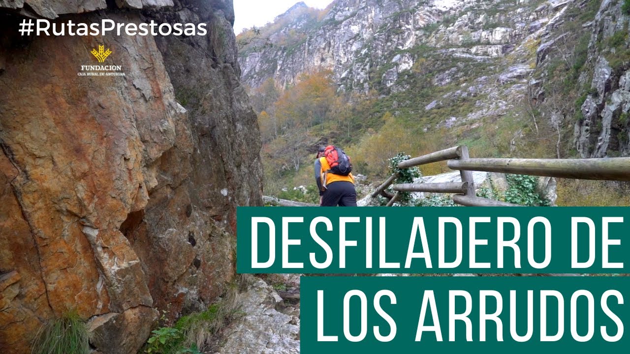 Canal Prestosu | Rutas prestosas: ruta de los Arrudos y el Hayedo de los Arrebellaos