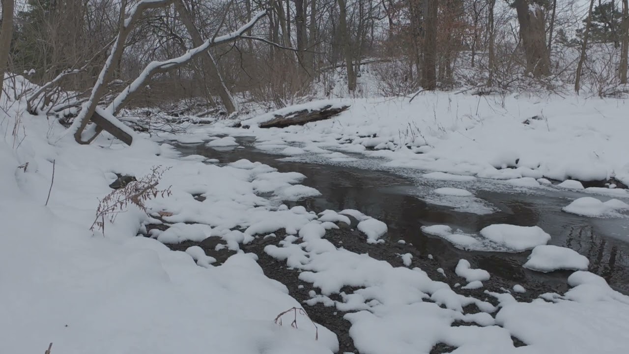 Instrumental Melody with a Snowy Creek | Relaxing Winter Ambience (4K)
