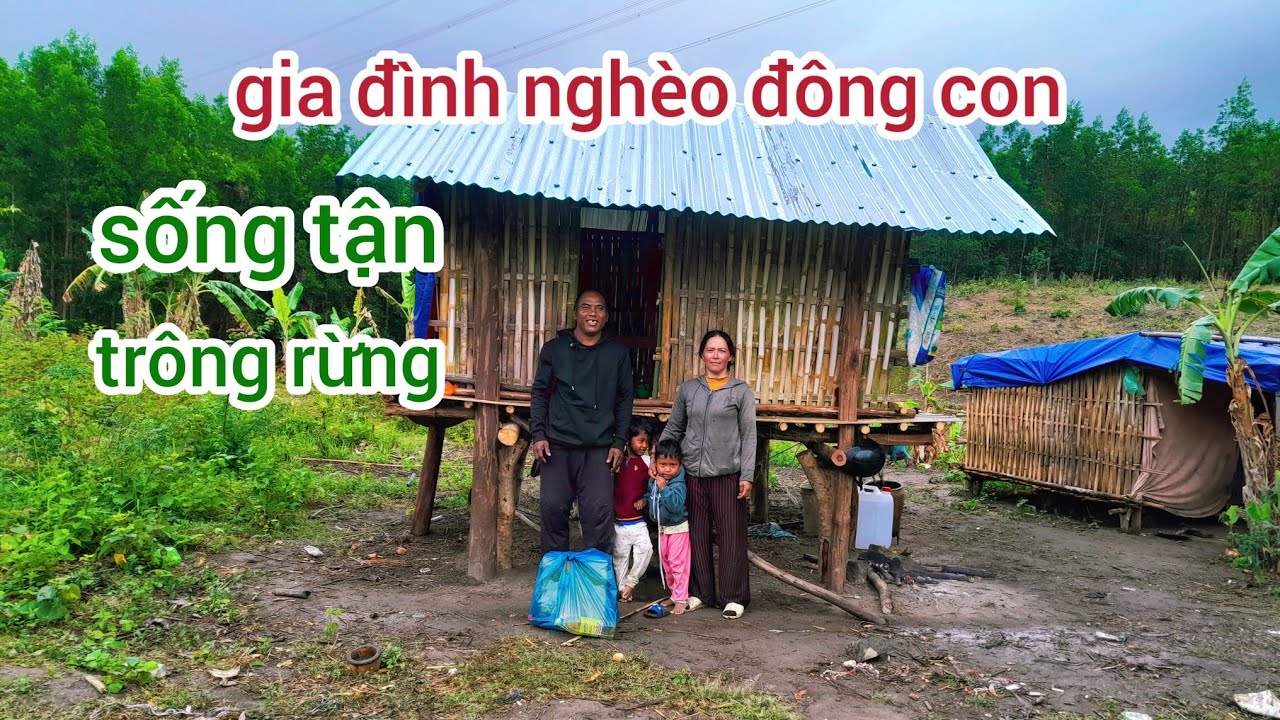 Gia đình nghèo đông con  sống tận ở trông rừng