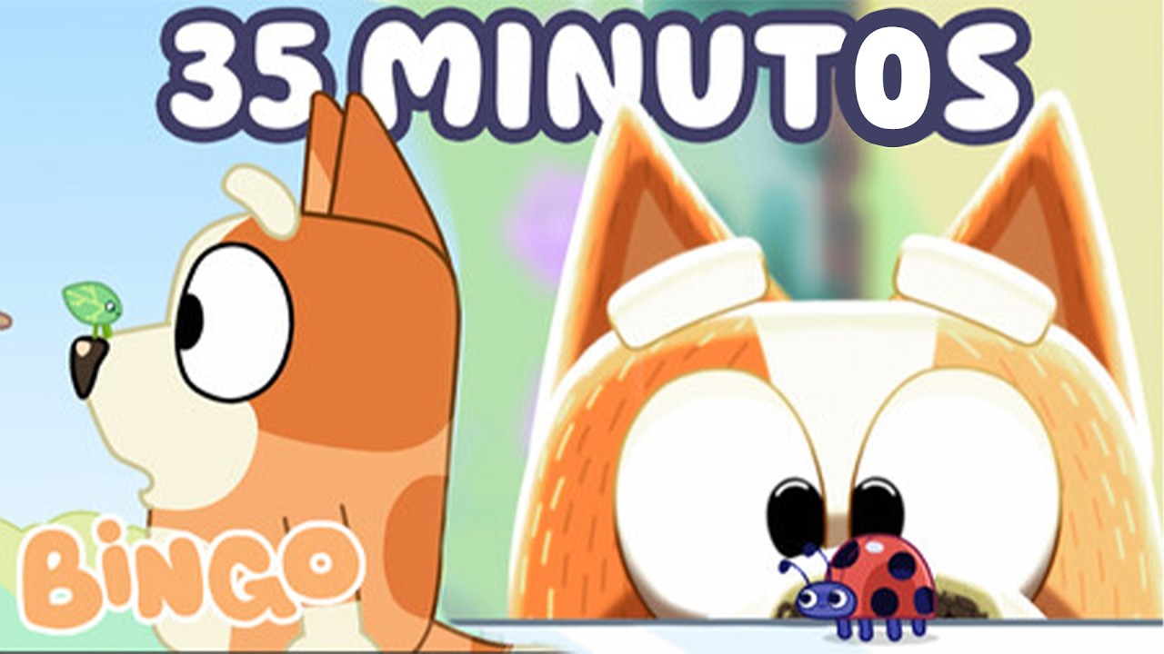 A primavera chegou! 🌈🧡 | 35 minutos de diversão primaveril! | Bingo Português Brasil Canal Oficial