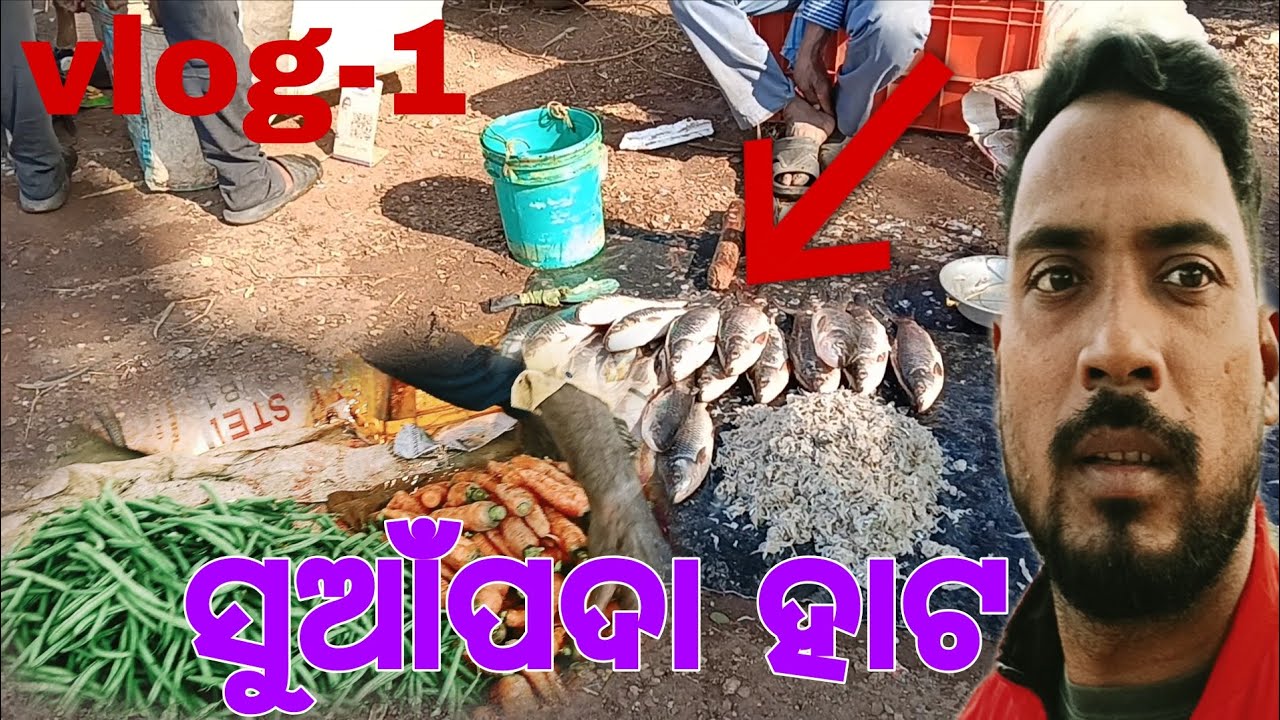 My first vlog day-1 