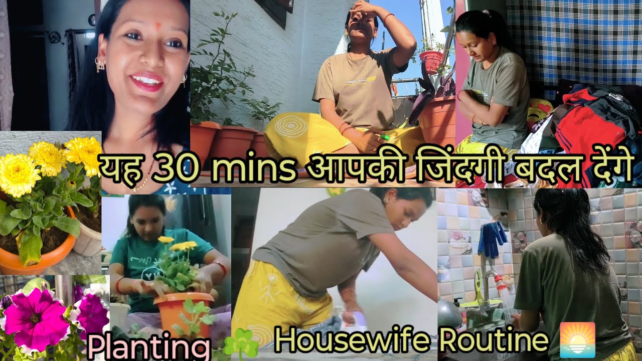 आपके ये 30 mins आपकी जिंदगी बदल देंगे🌺हर गृहिणी की सुबह की दिनचर्या🌅इतने सुंदर सुंदर फूल खिले#plants