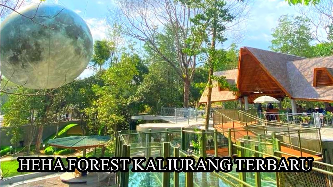 HEHA FOREST KALIURANG TERBARU ‼️ 2025 #wisatajogja #yogyakarta 