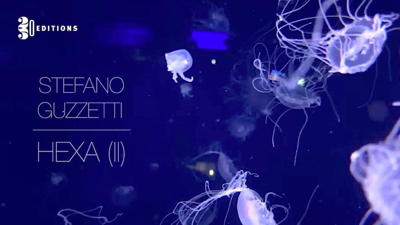 Stefano Guzzetti. HEXA (II)