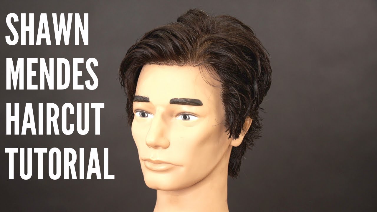 Shawn Mendes Haircut Tutorial - TheSalonGuy