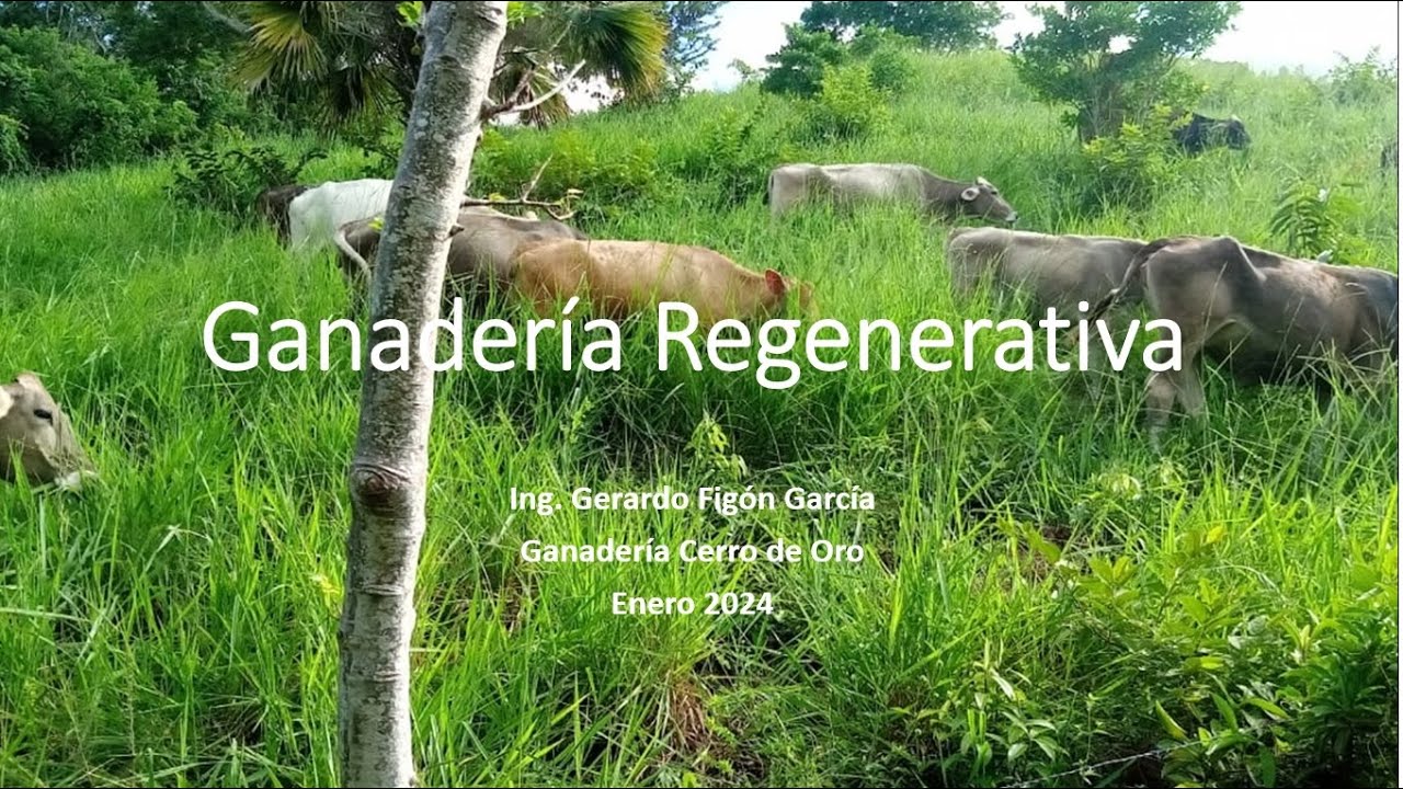 Ganadería regenerativa