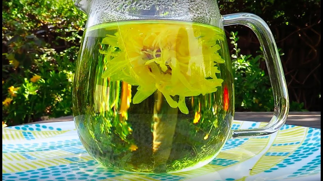 Backyard tea magazine some balblabla humming asmr