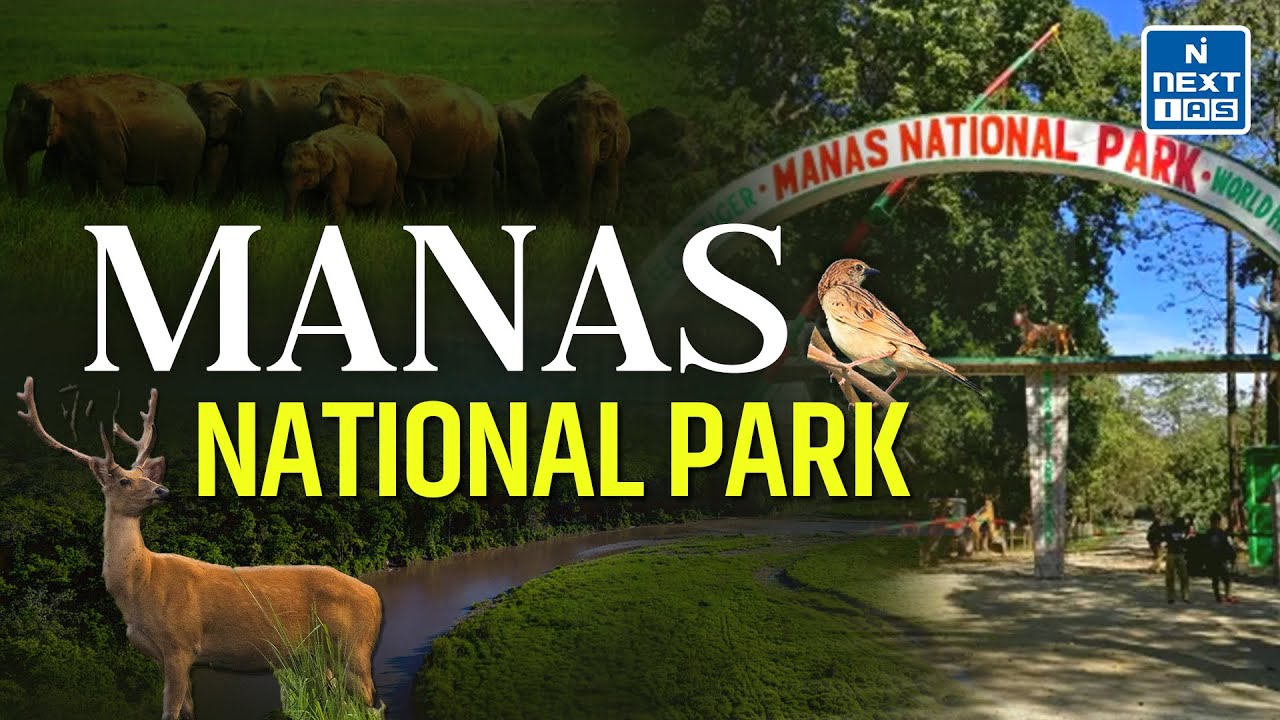 Biosphere Reserves in India (Through Animation) - Manas National Park | UPSC CSE | NEXT IAS