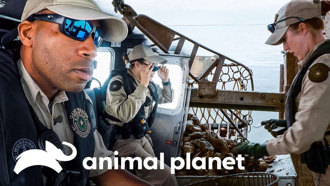 Patrulleros persiguen a un pesquero sospechoso | Guardianes de Texas | Animal Planet