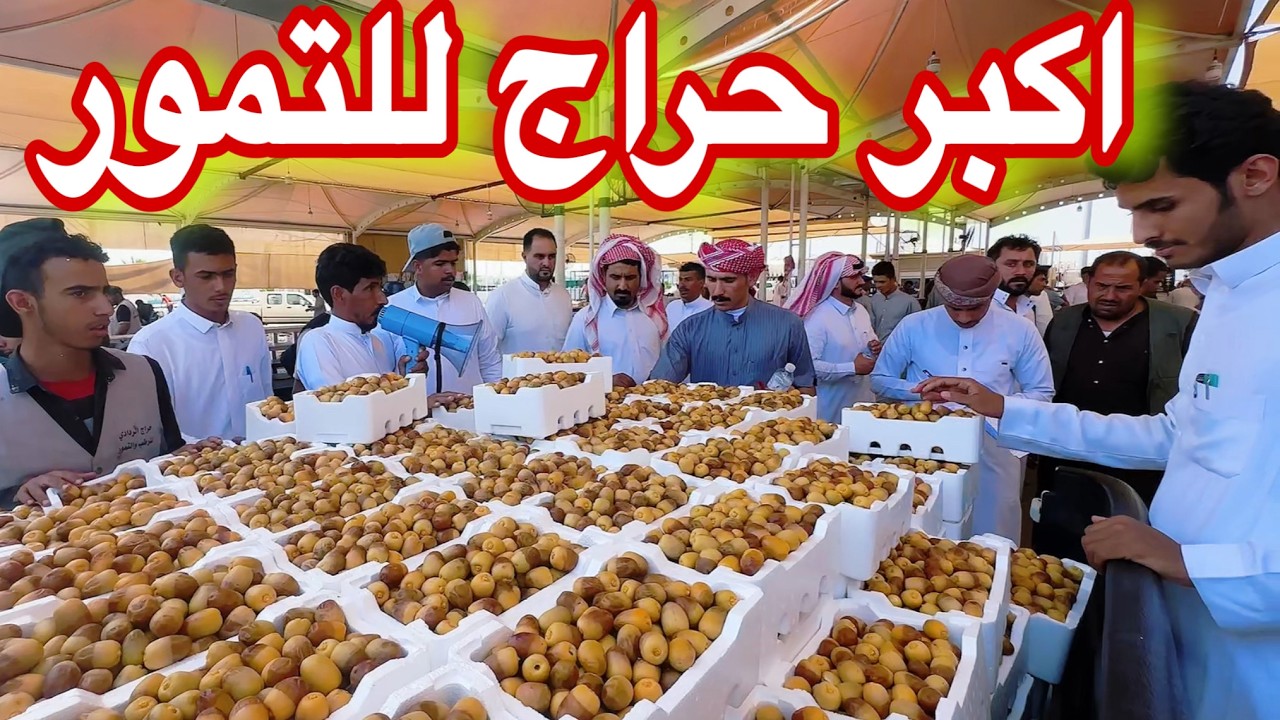 اكبر حراج وسوق للتمور بالمدينة المنورة رخيص جدا متاح يوميا من الفجر 