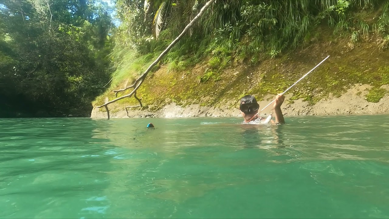 Pesca con arpón... Bocachicos y Carachamas.