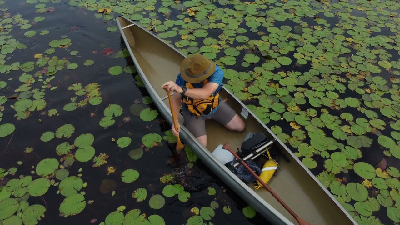Solo Canoe Paddling Strokes - Northstar NORTHWIND Solo