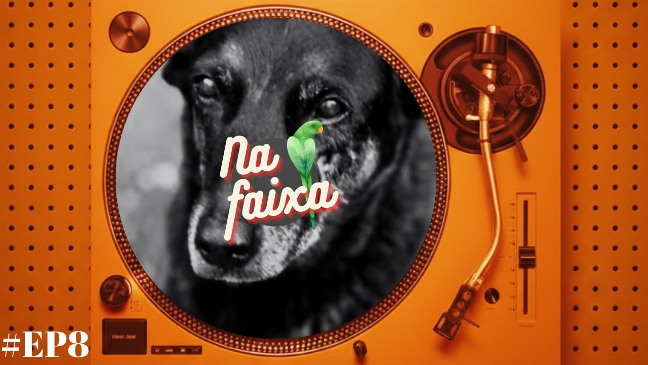 A SEMANA EM QUE NADA FOI LEVE - NA FAIXA 8