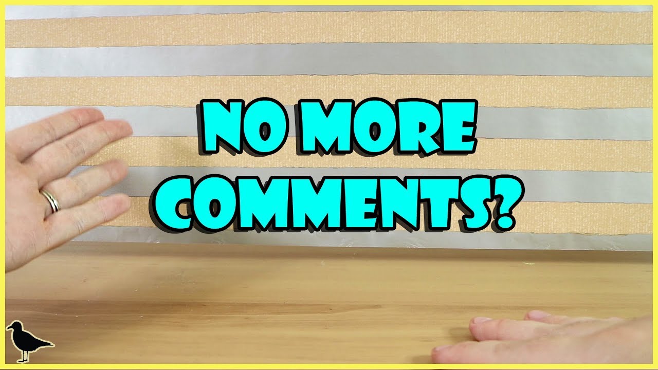 Comments turned off! :( How to still reach us! | Birdew Reviews