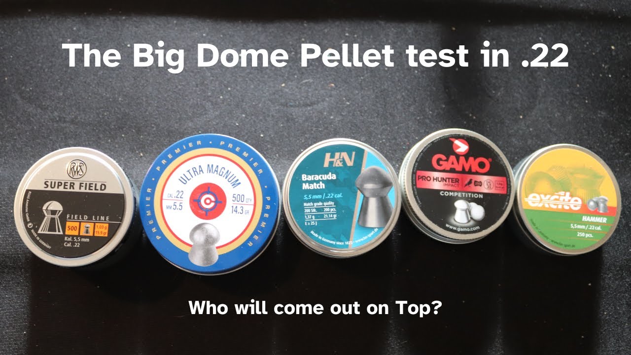 The big Dome Pellet test in  .22