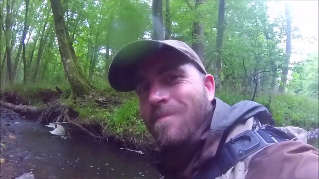 Pêche à la mouche en sèche truite fario de l'aisne