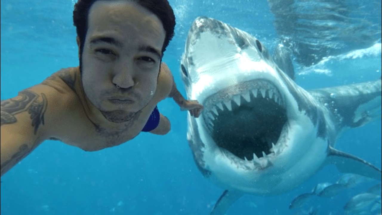 Top 10 Most Dangerous aka Stupidest Selfies Ever Taken   Hilarious Extreme Selfie Fails