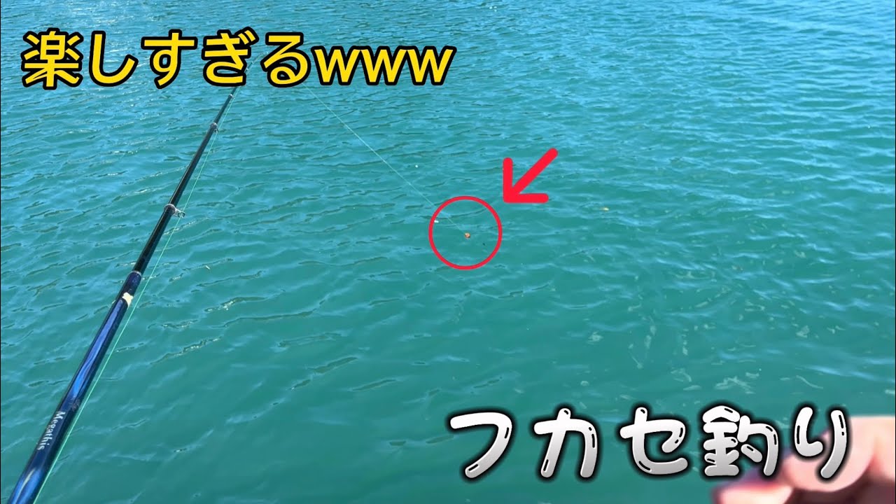ウキが沈む瞬間がたまらない！色々釣れた【フカセ釣り】