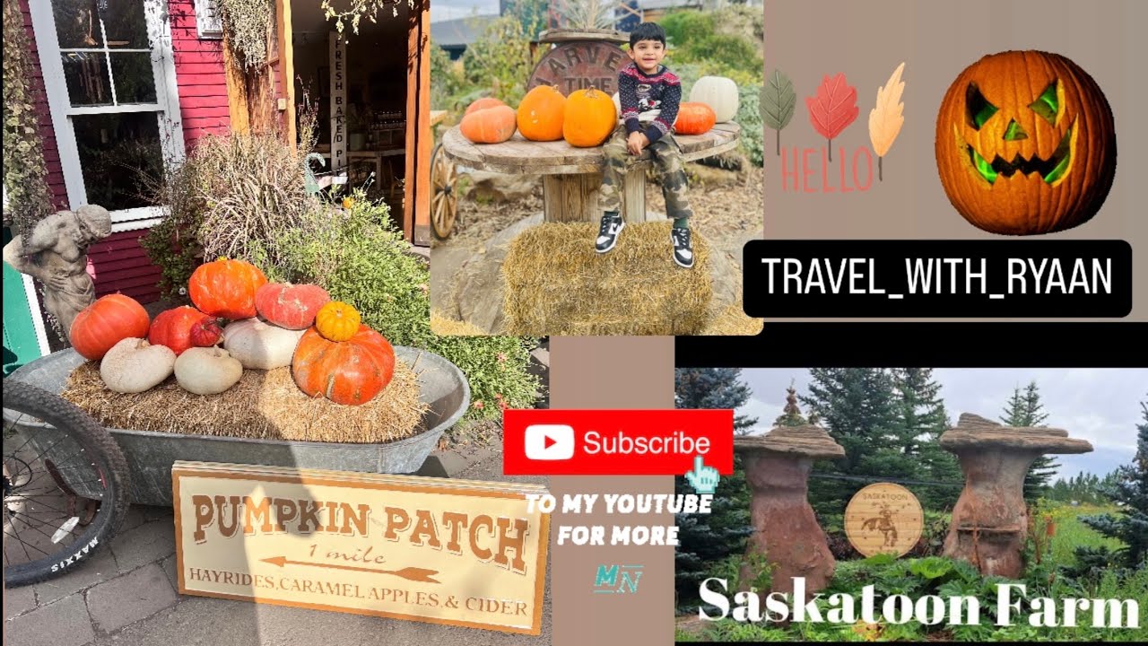 VISIT SASKATOON FARM |PUMPKINS |FALL SEASON|TRAVEL |VLOGS |