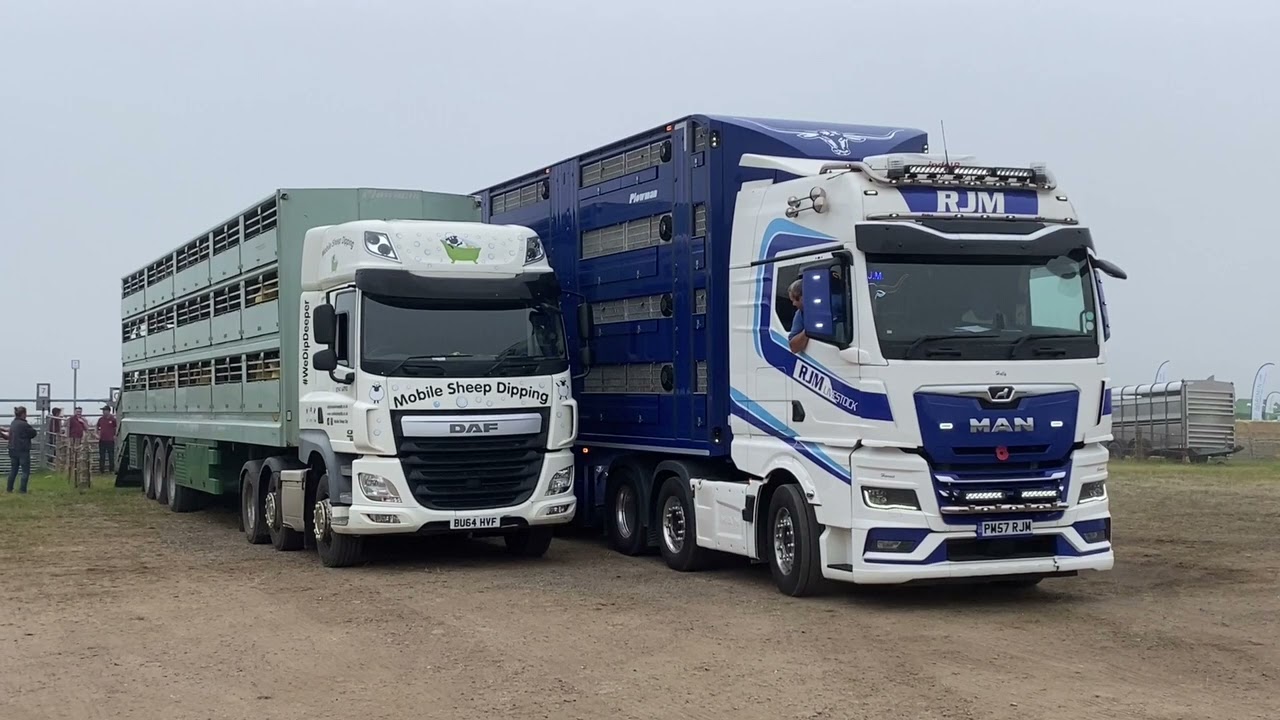LIVESTOCK TRUCKS 2024, THAME SHEEP FAIR AUGUST 2024