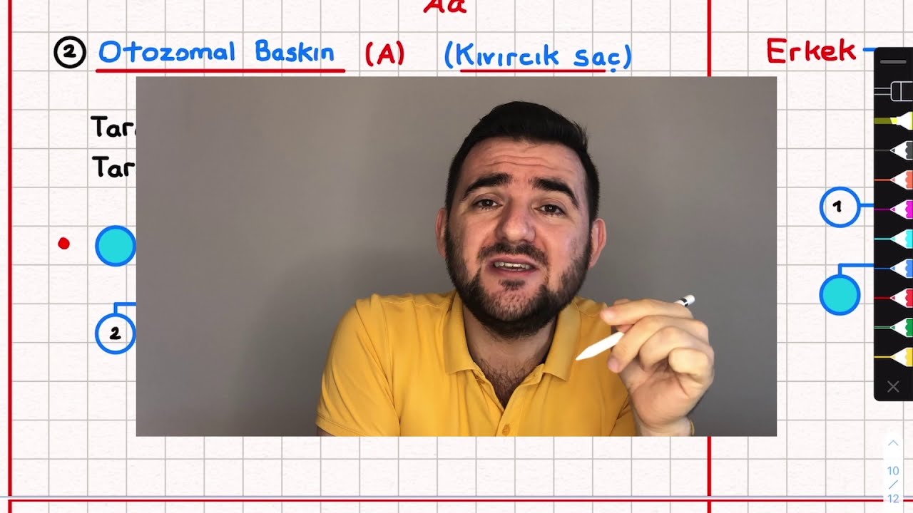 48-Soy Ağaçları Otozomal çekinik ve Otozomal Baskın 10. sınıf Konu Anlatımı tyt ayt yks 2022 pdf
