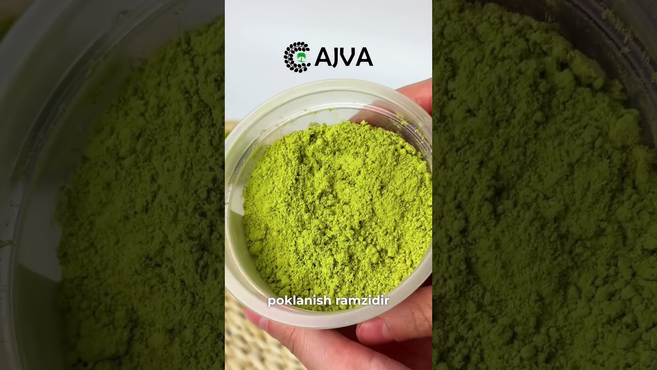 🌳 Jannatdagi sidr daraxti haqida eshitganmisiz?