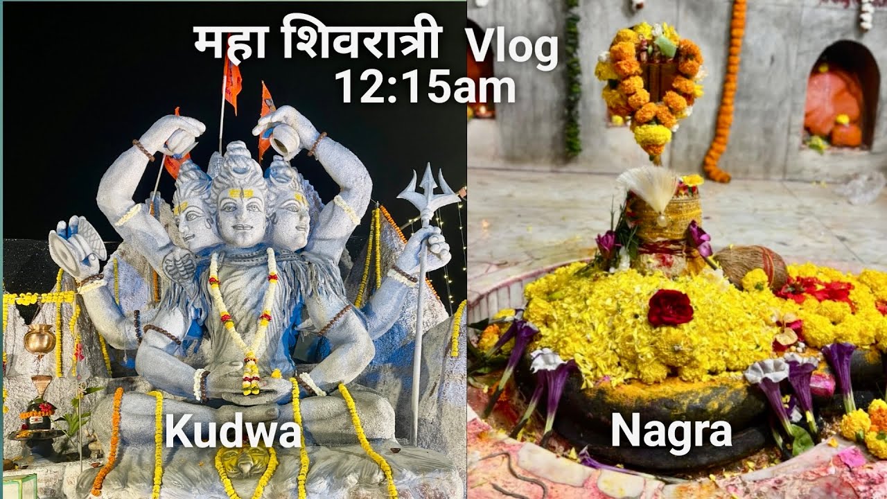 Maha Shivratri Vlog🚩🚩|| Night Vlog 12:15 ||Kudwa, Nagra (Gondia) || Mayur Bhai || Chhota bhai ||