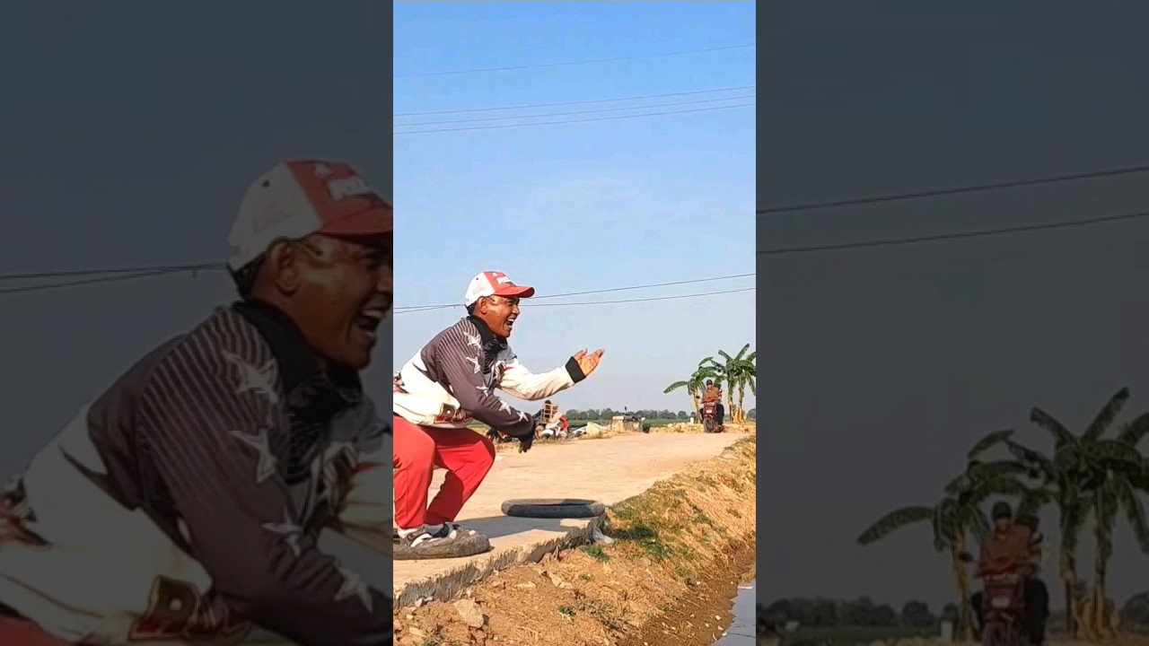 Joki Viral #lombamerpatibalapsprint#merpatibalapsprint#burungdara#shortsfeed#shortsviral