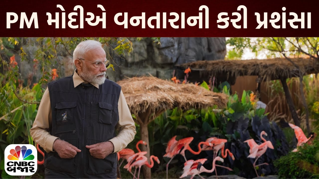 Bajar Samachar: PM મોદીએ વનતારાની કરી પ્રશંસા | PM Modi | Vantara | Anant Ambani | Jamnagar