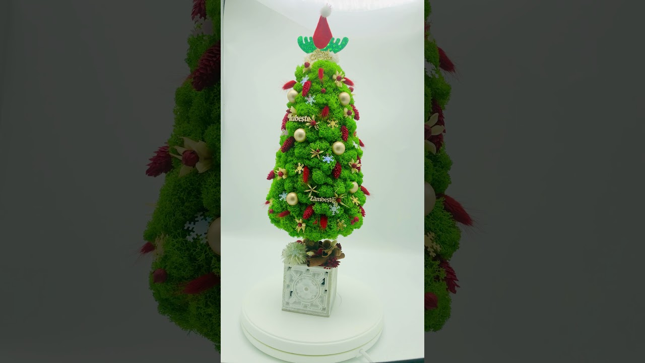 Aranjament de Craciun / Brad din licheni naturali stabilizati și decorațiuni de sezon