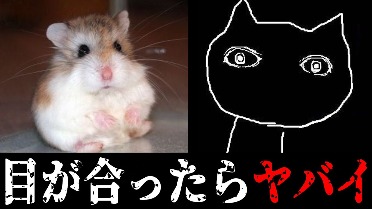 【初見56し】出会ったら命はない最強SCPランキングがヤバすぎてツッコミどころ満載だったwwwww傑作選 #2【SCP】【都市伝説】【なろ屋】【ツッコミ】【衝撃】