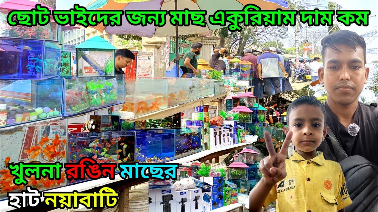 খুলনা রঙিন মাছের হাট নয়াবাটি aquarium fish price ni Bangladesh মাছের হাট aquarium fish price #fish 