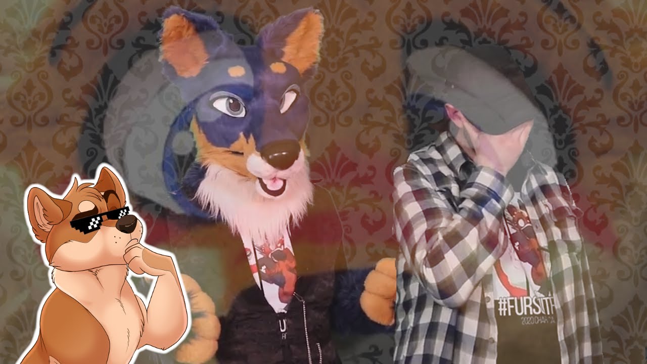 Furries VS. Gamers