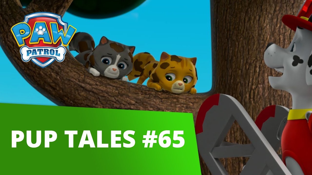 PAW Patrol - Pups Save the Cat Show - Rescue Episode - PAW Patrol Official & Friends!